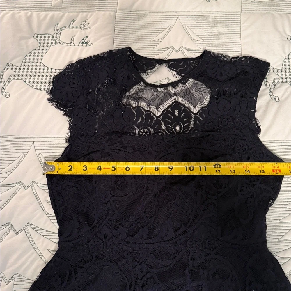 BB Dakota Elegant Dark Blue Lined Lace Dress-4